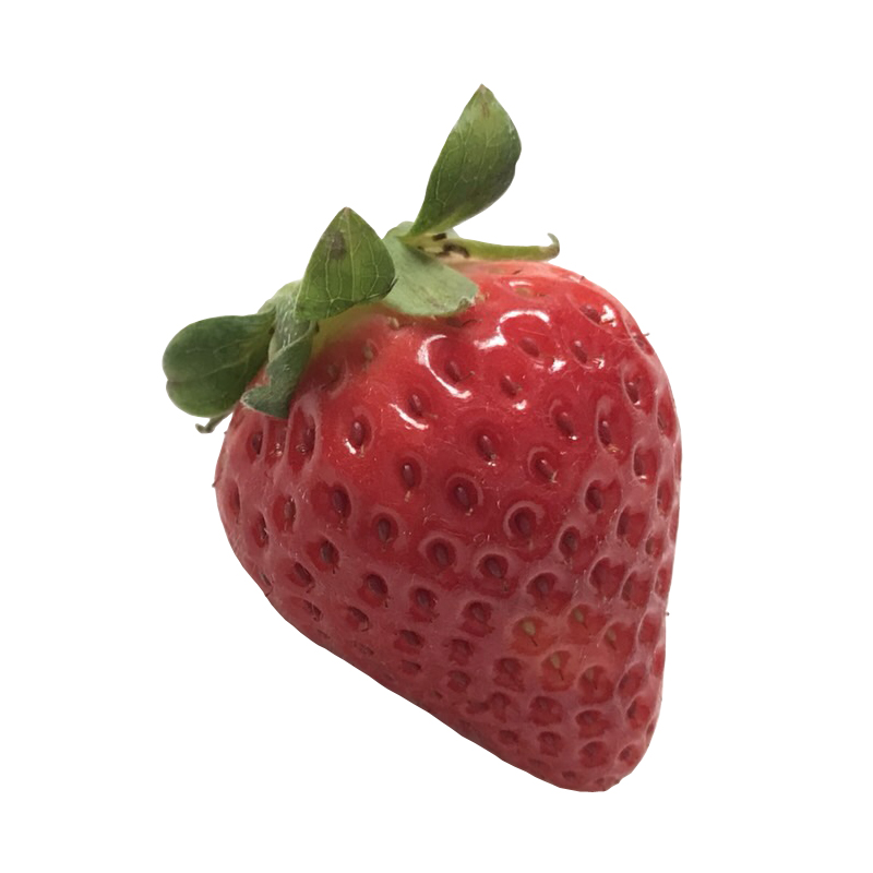 いちご イチゴ 苺 ストロベリー Strawberry 無料画像 ベジタデジタ