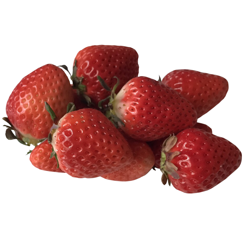 いちご イチゴ 苺 ストロベリー Strawberry 無料画像 ベジタデジタ
