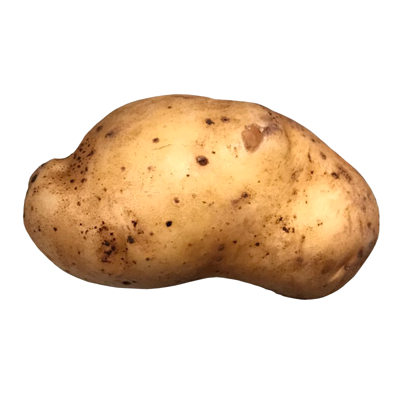 じゃがいも じゃが芋 ジャガイモ Potato 無料画像 ベジタデジタ