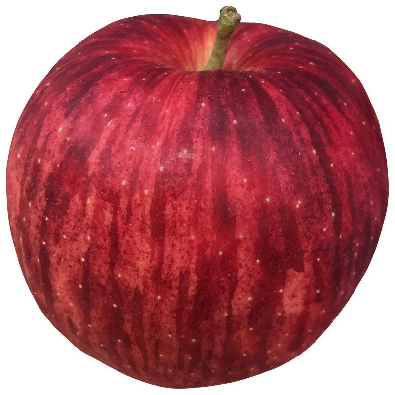 リンゴ りんご 青りんご 林檎 Apple 無料画像 ベジタデジタ