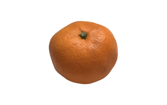 みかん ミカン オレンジ 蜜柑 Orange 無料画像 ベジタデジタ