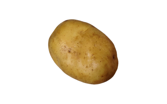 じゃがいも じゃが芋 ジャガイモ Potato 無料画像 ベジタデジタ