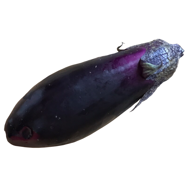 なすび なす ナス 茄子 Eggplant 無料画像 ベジタデジタ