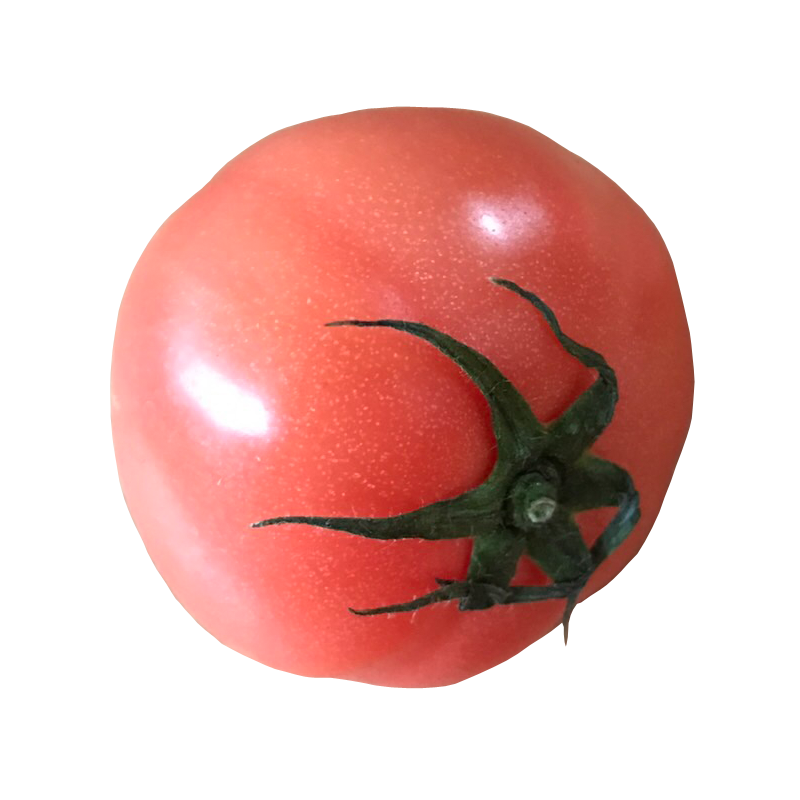 トマト とまと ミニトマト Tomato 無料画像 ベジタデジタ