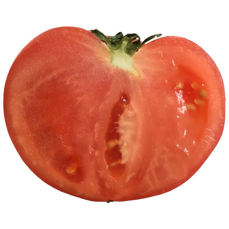 トマト とまと ミニトマト Tomato 無料画像 ベジタデジタ