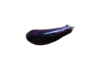 なすび(なす・ナス・茄子・eggplant)無料画像
