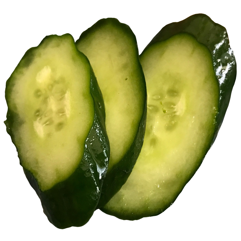 キュウリ きゅうり 胡瓜 Cucumber 無料画像 ベジタデジタ