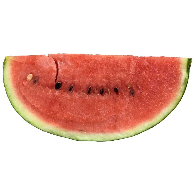 スイカ すいか 西瓜 Watermelon 無料画像 ベジタデジタ