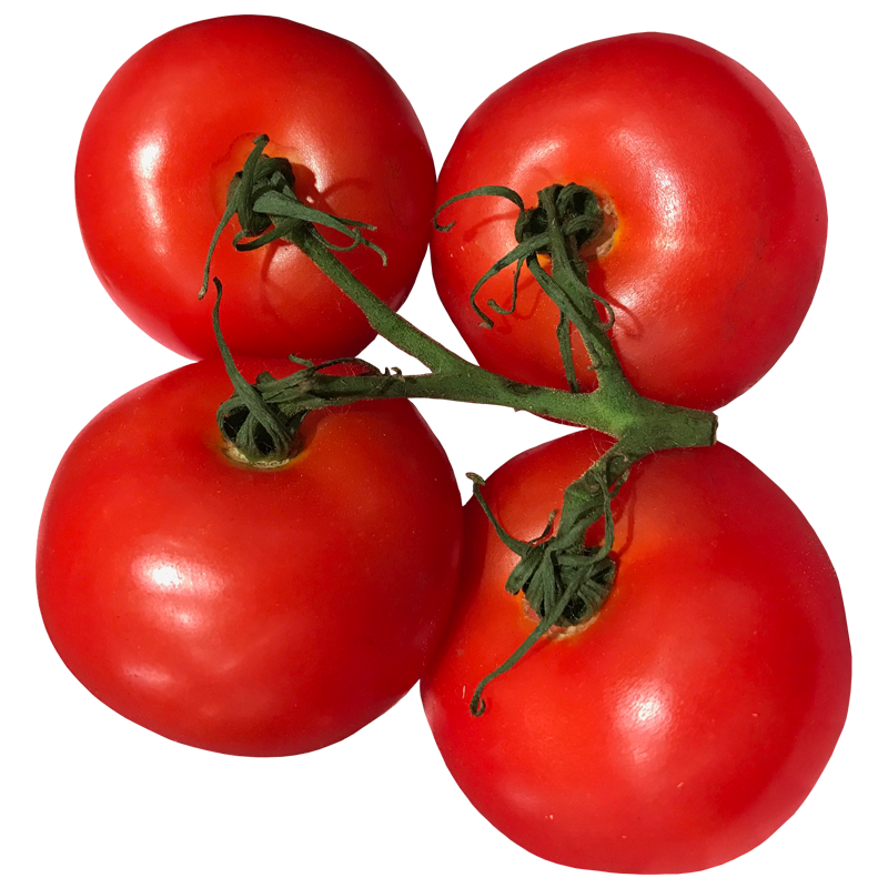 トマト とまと ミニトマト Tomato 無料画像page2 ベジタデジタ