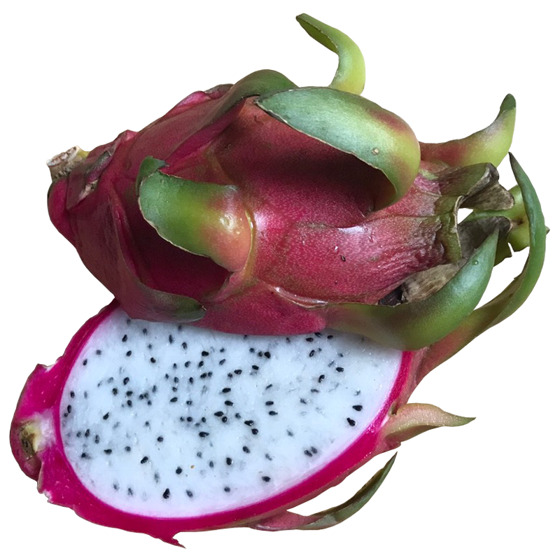 ドラゴンフルーツ Dragonfruit ピタヤ Pitaya 無料画像 ベジタデジタ