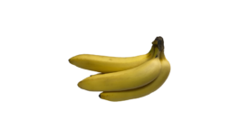 バナナ(ばなな・甘蕉・banana)無料画像