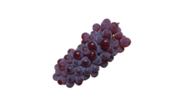 ぶどう(ブドウ・葡萄・グレープ・grape)無料画像