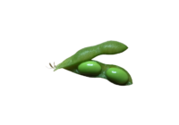 枝豆(えだまめ・エダマメ・greensoybeans)無料画像